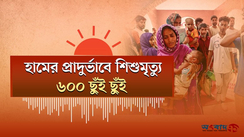 এলপিজি সিলিন্ডারের মূল্যহ্রাস: ১২ কেজিতে ৫৫ টাকা কমল; হামে শ